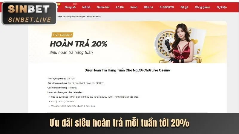 Thông tin an toàn và bảo mật Sinbet Code