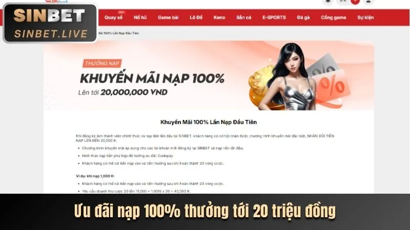 Hình ảnh hướng dẫn cách sử dụng sinbet code cho người mới bắt đầu